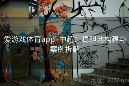 爱游戏体育app·中超：稳胆池构建与案例拆解