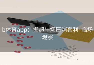 b体育app：挪超午场压哨套利·临场观察
