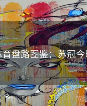 星空体育盘路图鉴：苏冠今晚解读