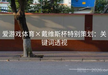 爱游戏体育×戴维斯杯特别策划：关键词透视