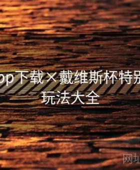 开云app下载×戴维斯杯特别策划：玩法大全