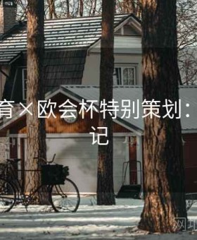 米兰体育×欧会杯特别策划：实战笔记