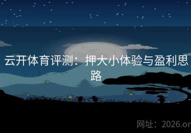 云开体育评测：押大小体验与盈利思路