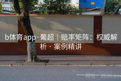 b体育app·葡超｜赔率矩阵：权威解析 · 案例精讲