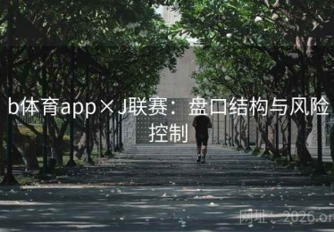 b体育app×J联赛：盘口结构与风险控制