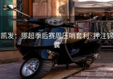 凯发：挪超季后赛周压哨套利·押注锦囊