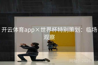 开云体育app×世界杯特别策划：临场观察